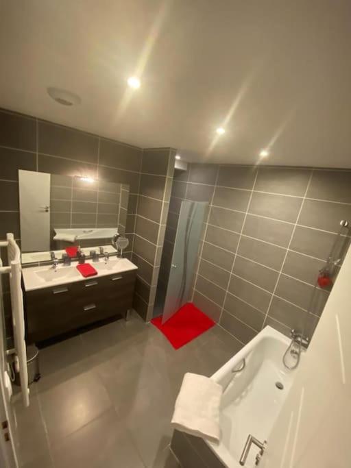 Appartement Belle Vue Sur Les Montagnes Saint-Pierre-en-Faucigny Dış mekan fotoğraf